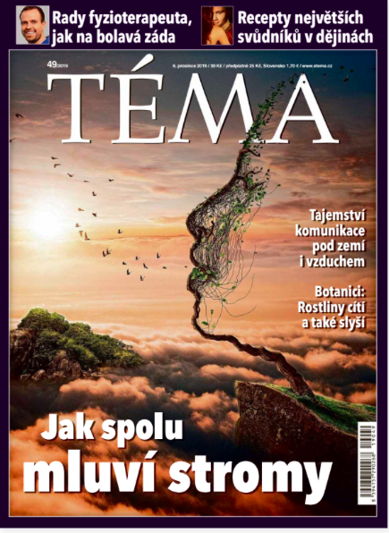 Téma